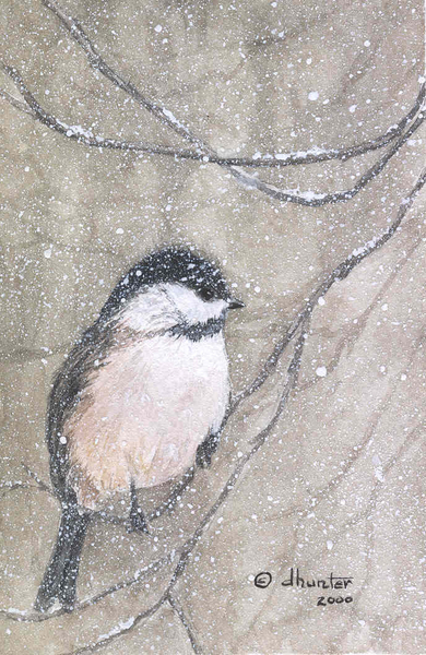 2000 - Cheery Chickadee - Black-Capped Chickadee   SOLD