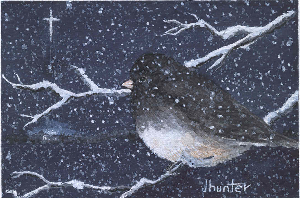 2001 Christmas Junco