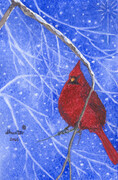2008 Winter Cardinal - Male Cardinal