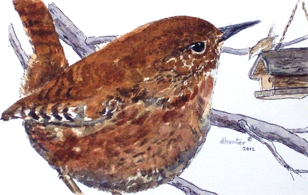 2012 Winter Wren