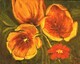 Tulip Study in Orange   Dorothy dhunter Adams