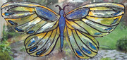 Butterfly - Blue & Yellow