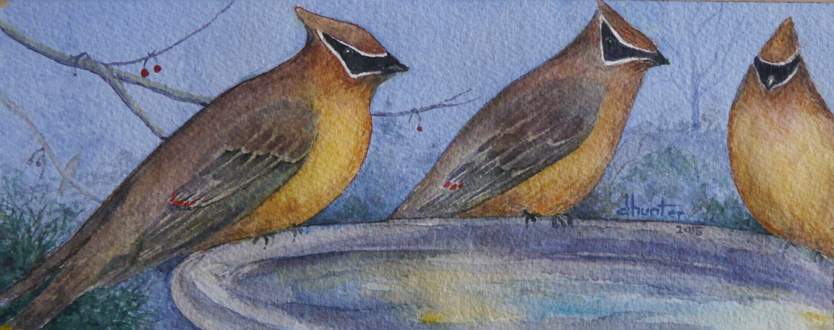 2015 Cedar Waxwings - Dorothy dhunter Adams