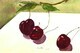 Cherries - SOLD