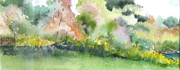 Colour Caught in the Branches   dorothy dhunter adams   P1020657 adj
