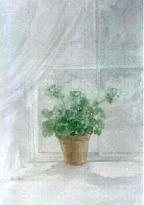 Geranium in My Window - SOLD