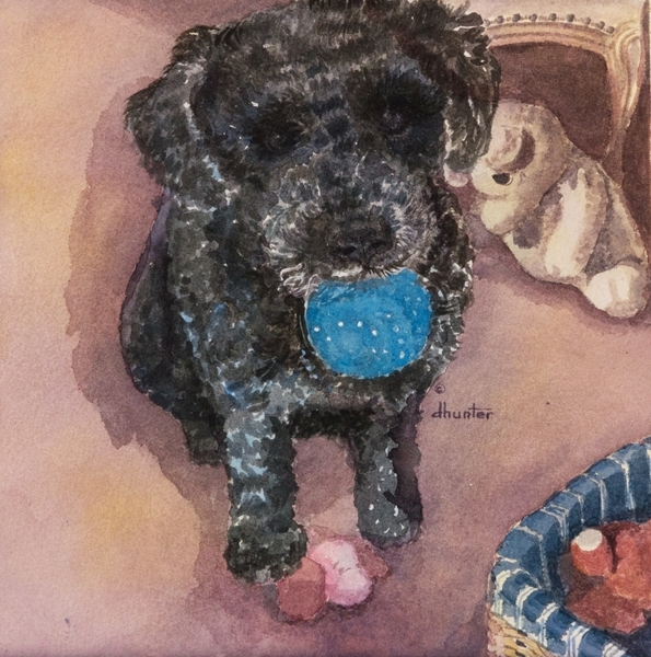 Kala's Charlie   Dorothy dhunter Adams   SOLD
