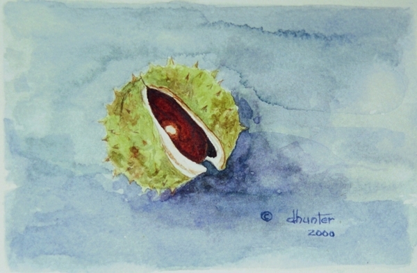 Prickly Shell   chestnut   Dorothy dhunter Adams adj