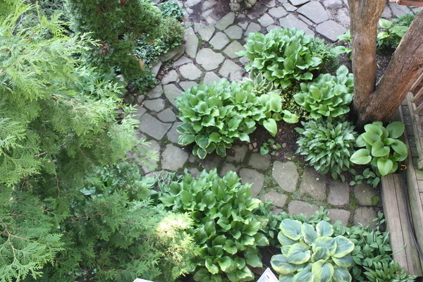 Sanctuary Four - Flagstone Path off Deck