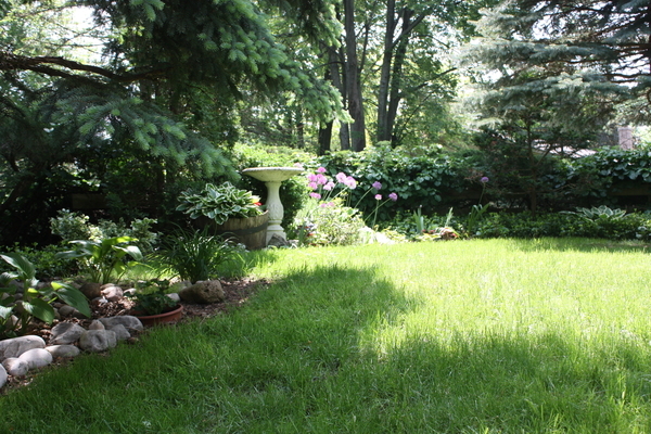 Sanctuary Three - Toward the Fairy Garden