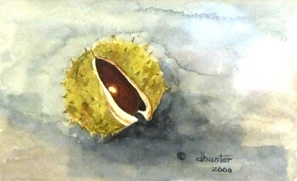 Prickly Shell -    Dorothy dhunter Adams