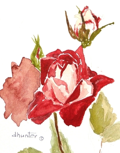 The Rose   Dorothy dhunter Adams  - a study