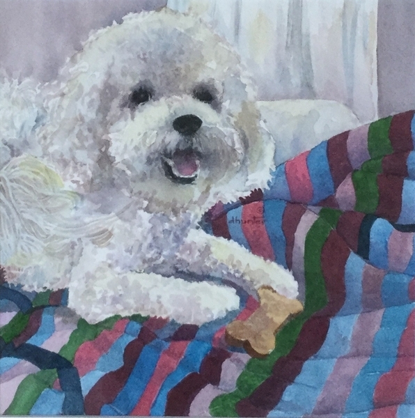 Vanessa's Charlie   Dorothy d.hunter Adams SOLD