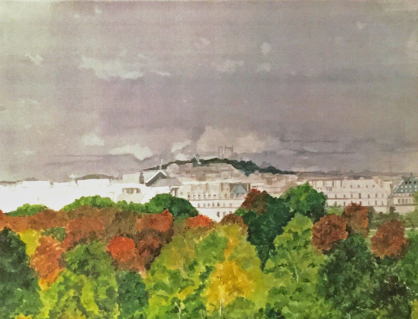 VIEW ATOP D'ORSAY MUSEUM CAFE  PARIS   Dorothy dhunter Adams IMG 7508 adobe