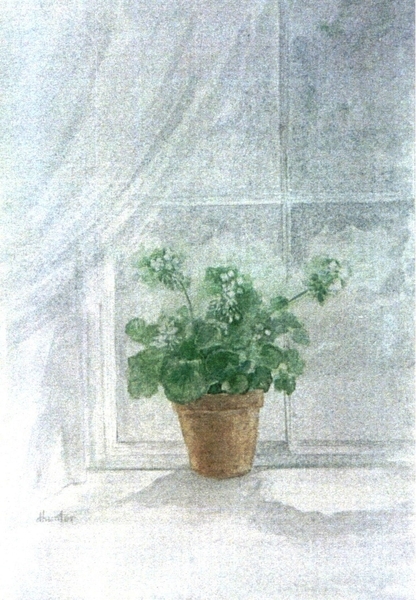 White Geranium   Dorothy dhunter Adams    SOLD   -  NEEDS A DESCRIPTION
