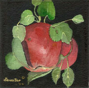 Wild Apples II   Dorothy dhunter Adams   SOLD