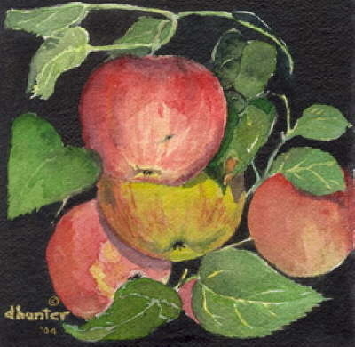 Wild Apples III   Dorothy dhunter Adams  SOLD