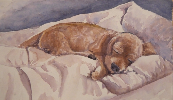 Winnie Sleeping   Dorothy dhunter Adams SOLD