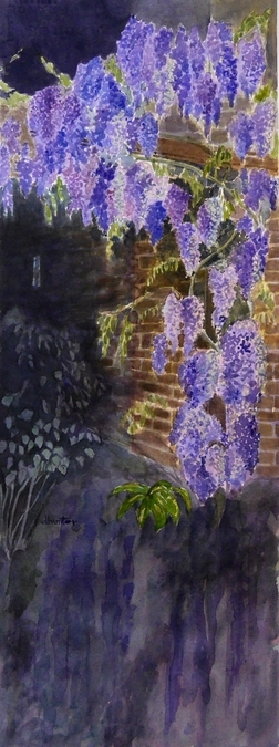 wisteria at dusk   dorothy dhunter adams