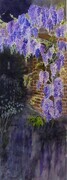 wisteria at dusk   dorothy dhunter adams