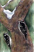 Woodpecker Pair - Downy & Hairy - Dorothy dhunter Adams